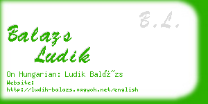 balazs ludik business card